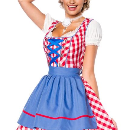 Traditionelles Minidirndl 3XL