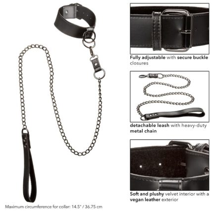 Euphoria Halsband mit Kettenleine