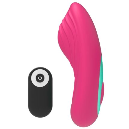 Panty Vibe Fernbedienung